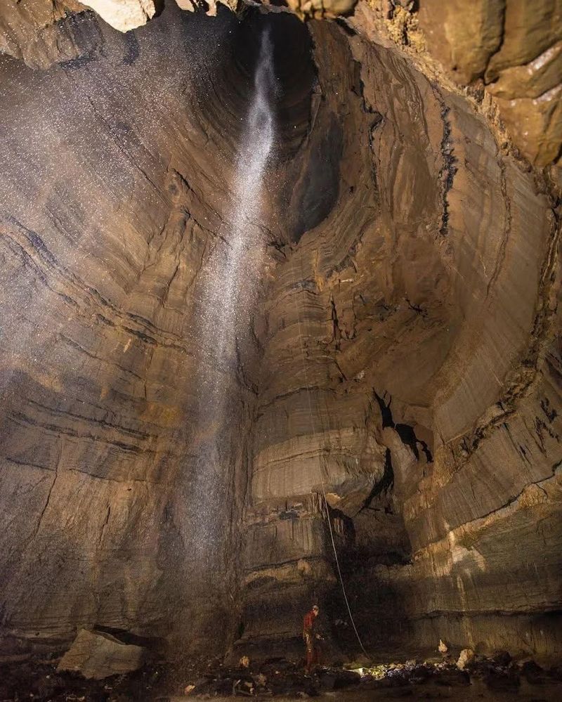 Educational Value for Students and Researchers Alike