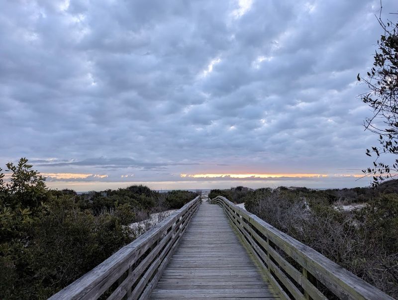 This List Of 16 Georgia Campgrounds Comes With Incredible Coastal Scenery - Decor Hint Cumberland Island National Seashore Campgrounds
