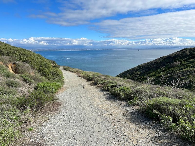 Coastal Trail, Cabrillo National Monument