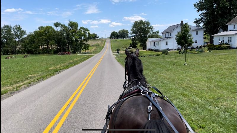10 Unspoken Rules In Ohio Amish Towns That Visitors Keep Ignoring - Decor Hint Misreading Reflectors And Flashing Lights Rules