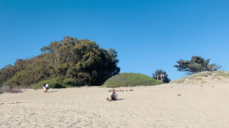 Natural Bridges State Beach, Santa Cruz