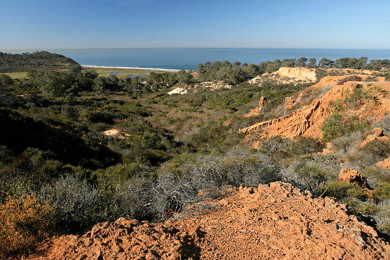 This Spring Is The Perfect Time To See Some Of The Most Beautiful California State Parks - Decor Hint Torrey Pines State Natural Reserve