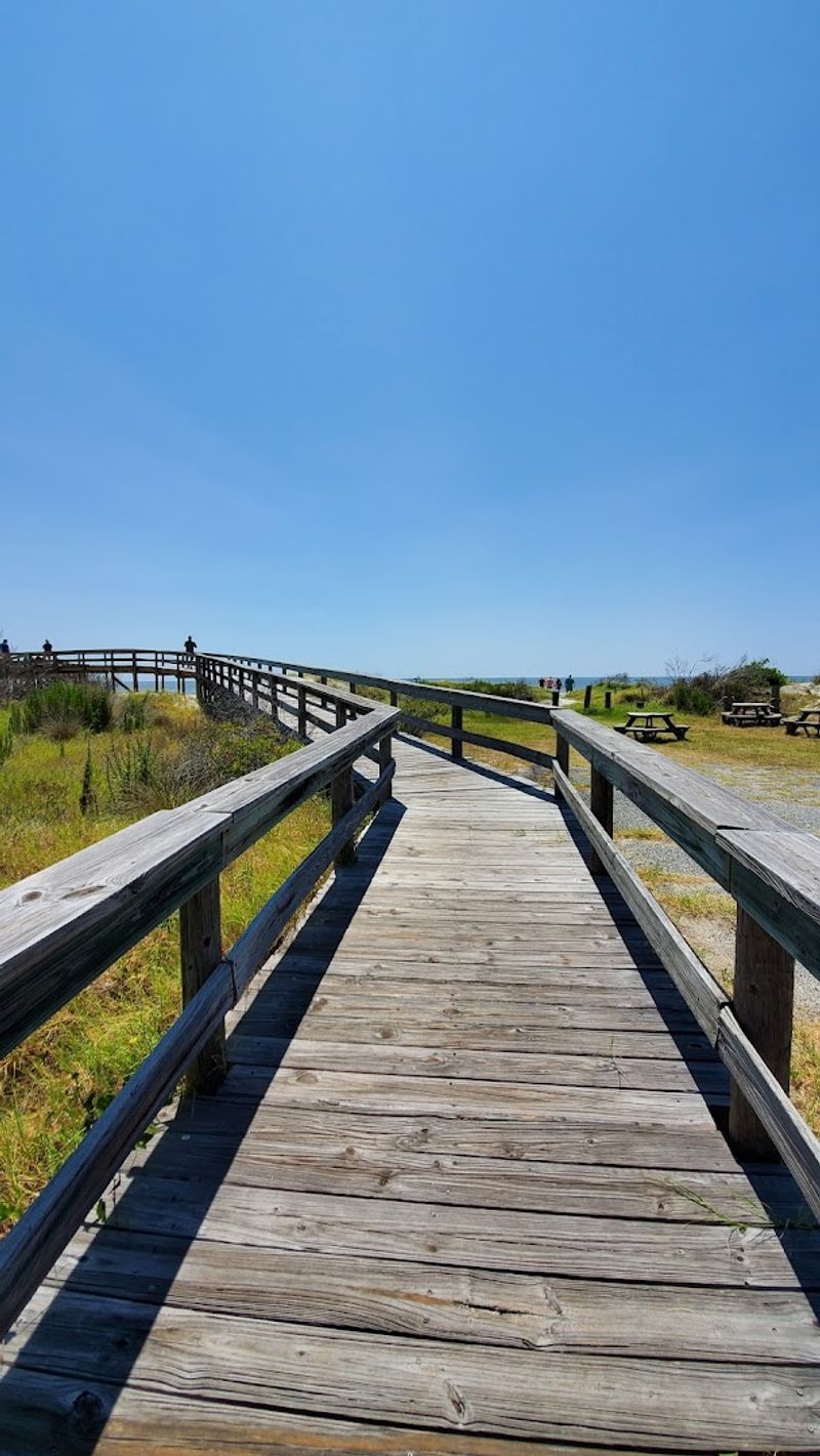 Ecological Research That Puts Conservation in Context