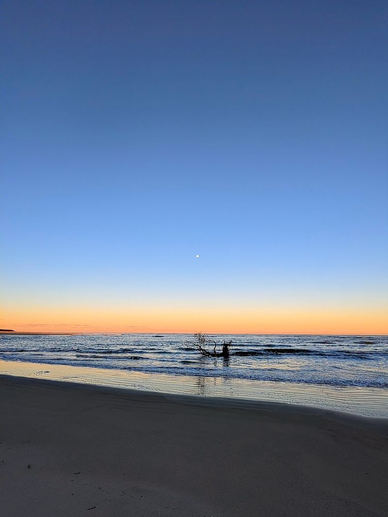 Cabretta Beach, Sapelo Island