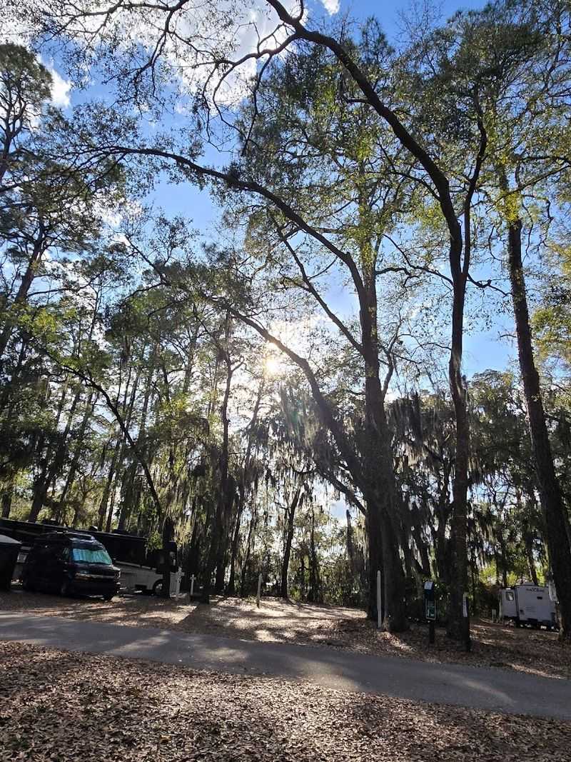 This List Of 16 Georgia Campgrounds Comes With Incredible Coastal Scenery - Decor Hint Jekyll Island Campground