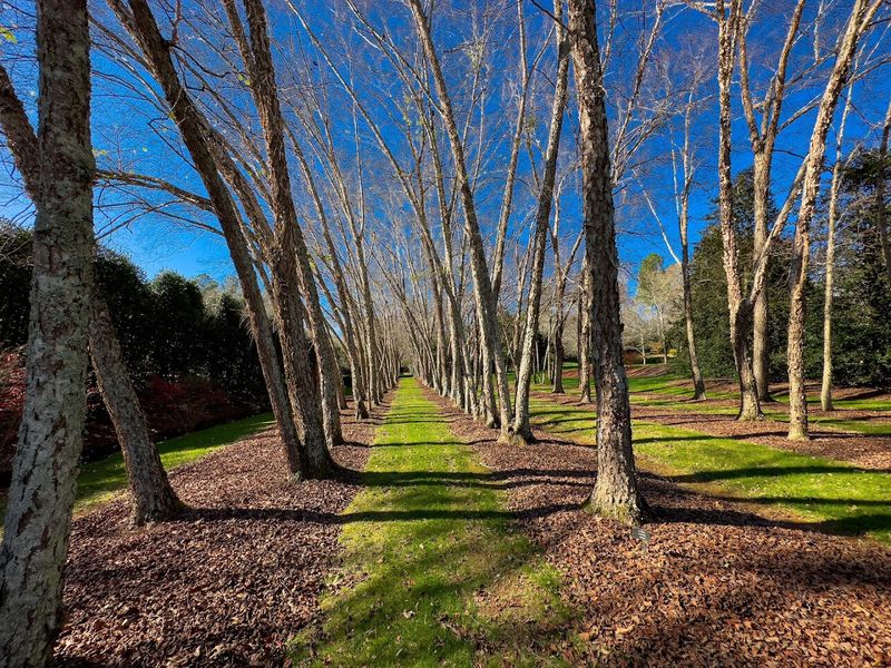Walking The Garden Trails