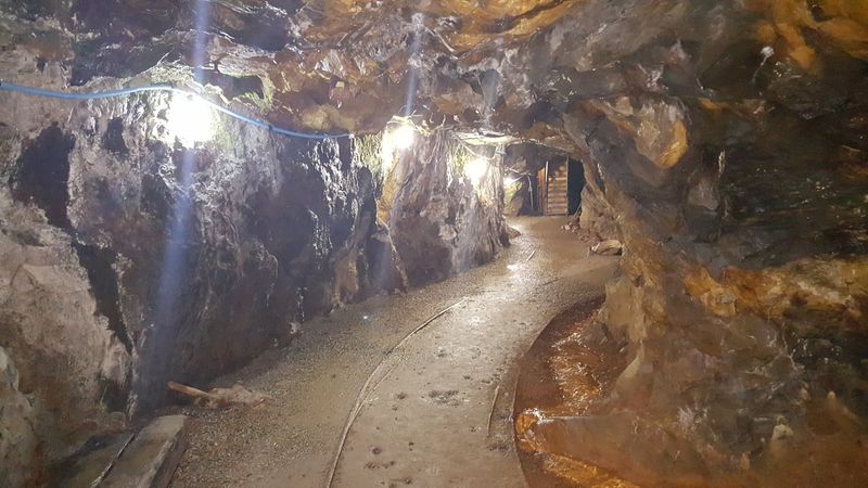 Consolidated Gold Mines