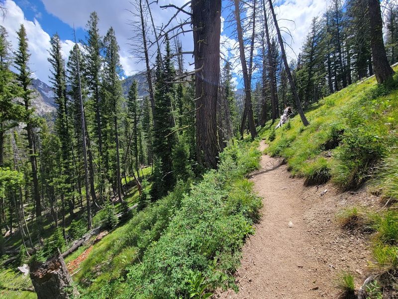 Sawtooth Lake Via Iron Creek Trailhead