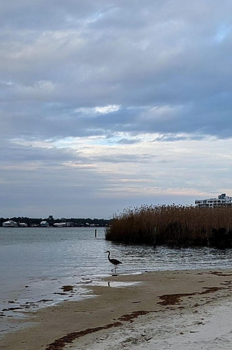 Little Lagoon Pass Park