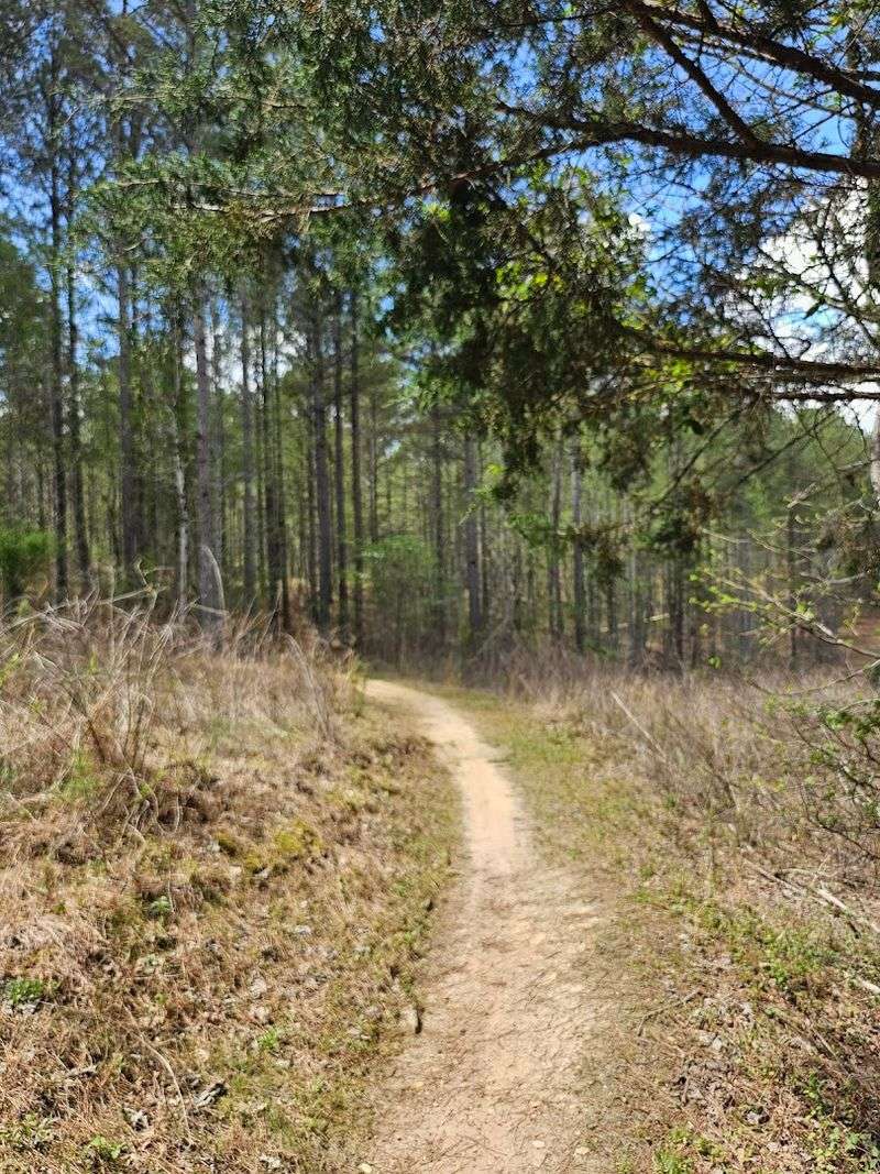 A Peaceful Atmosphere That Actually Delivers