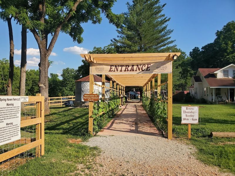 Spring Haven Farm