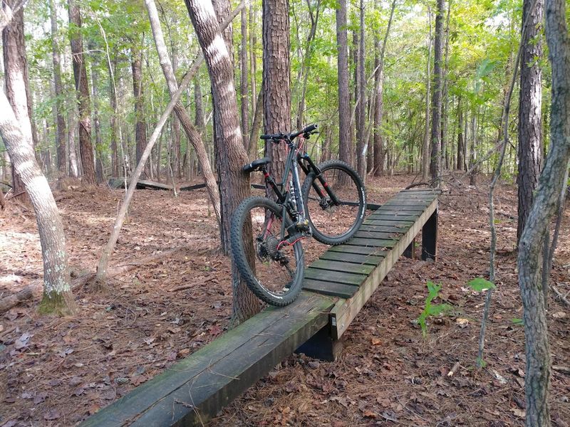 Night Riding Opportunities Under the Stars