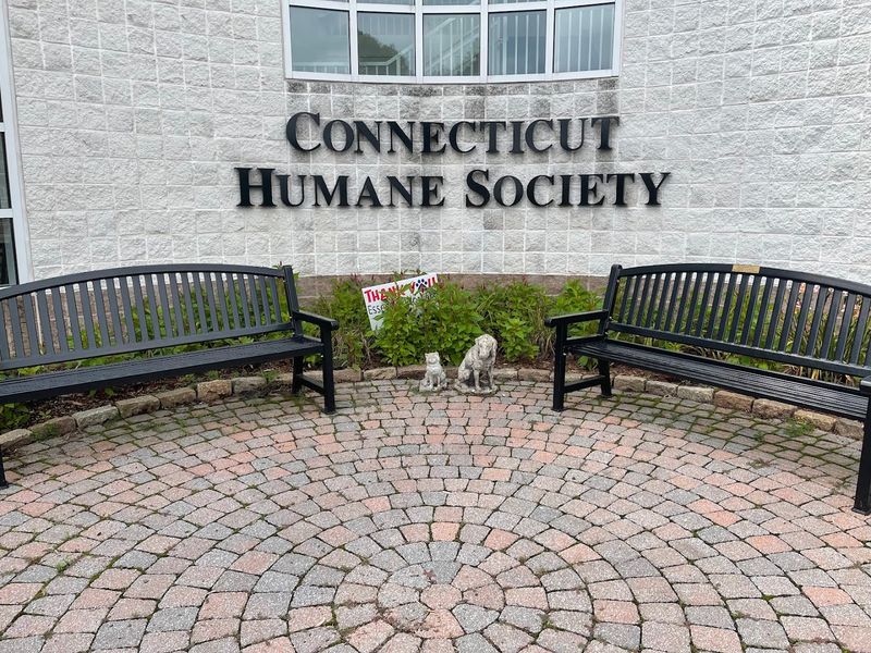 The Mission Of Connecticut Humane Society