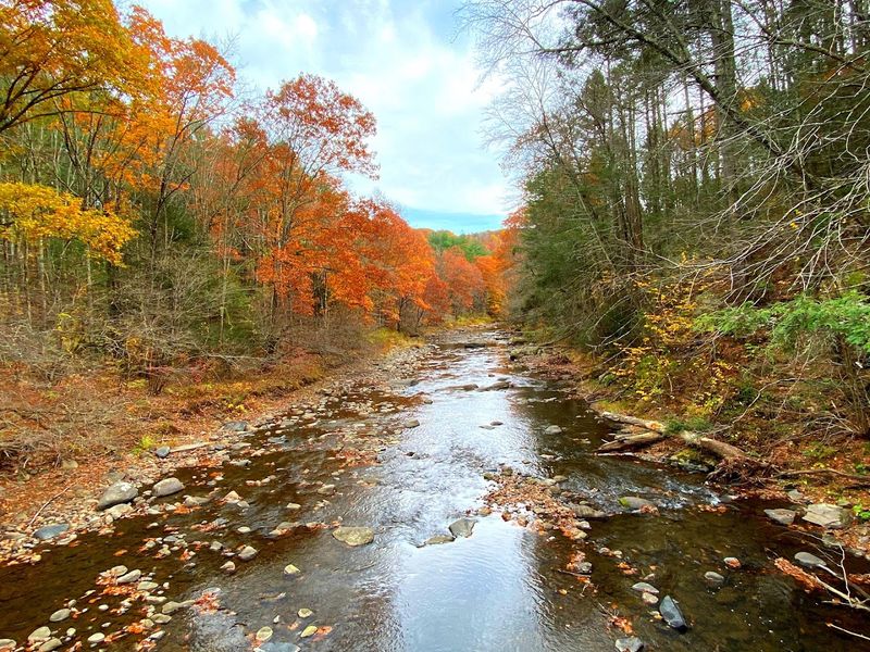 Explore The Peaceful Trails Of Hidden Valley Preserve