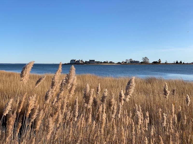 Why Old Saybrook Is Connecticut's Best-Kept Coastal Secret