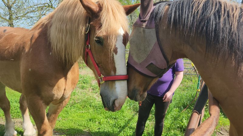 Explore The Scenic Beauty Of Winter Brook Farm's Grounds
