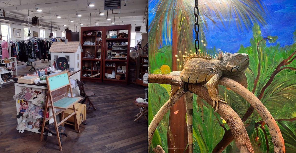Discover The Quirkiest Thrift Shop In Connecticut You Never Knew You Needed - Decor Hint