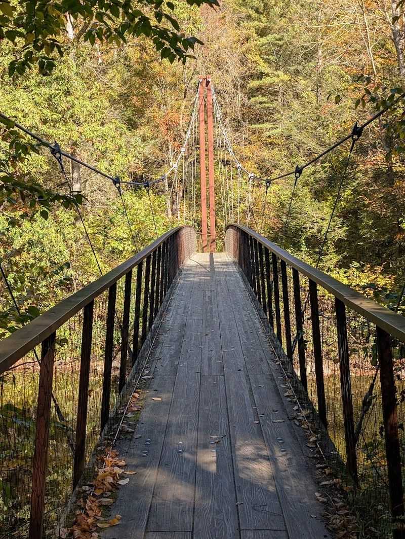 Family-Friendly Activities At Hidden Valley Preserve