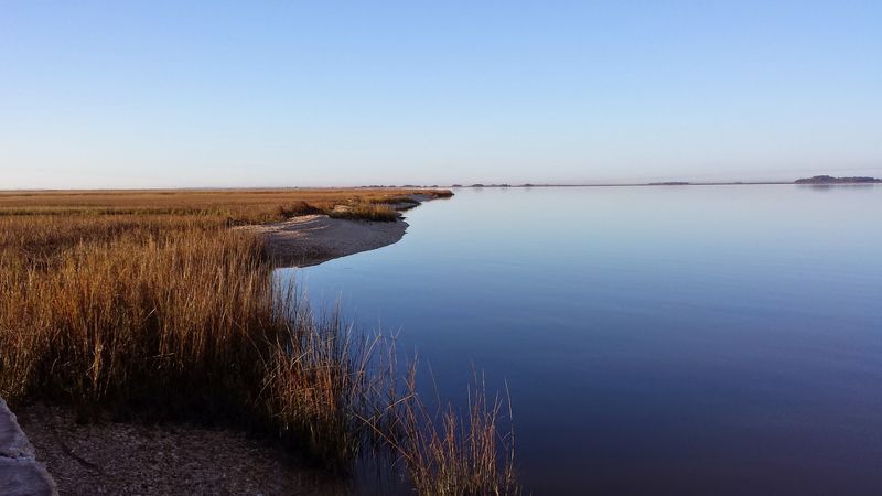 The National Estuarine Research Reserve and Its Educational Programs