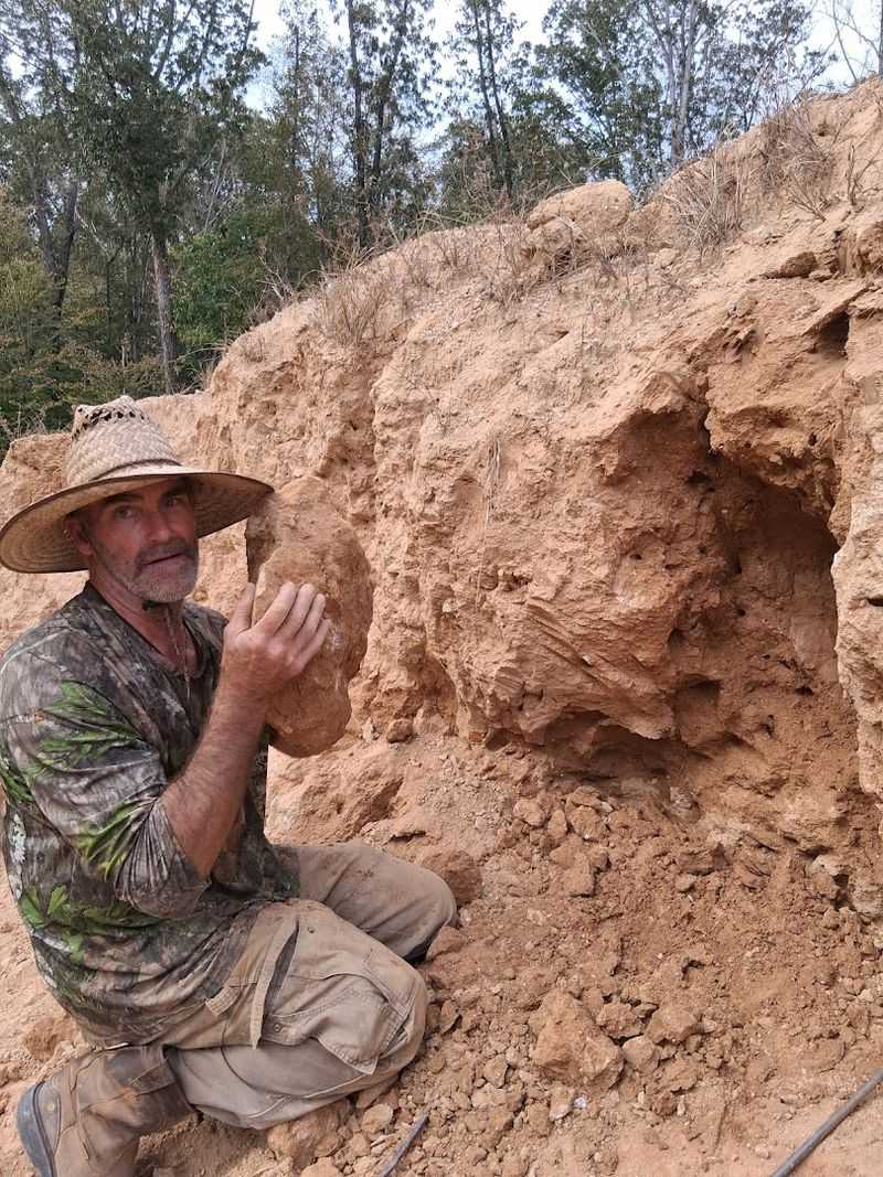 Family-Friendly Activity for All Ages