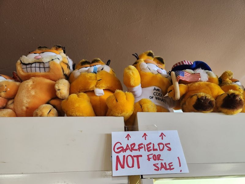 Friendly and Knowledgeable Staff