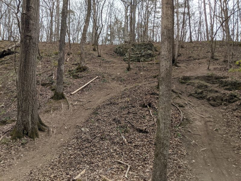 Skill-Level Variety for Every Rider