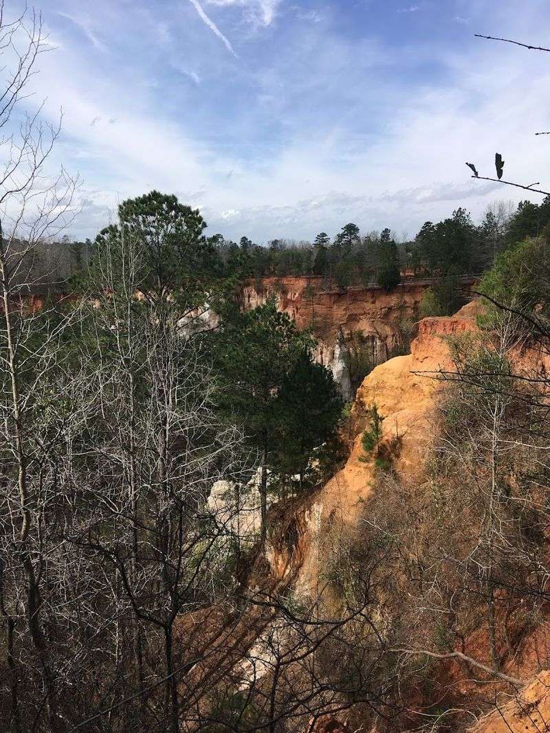 This Breathtaking Georgia State Park Feels Like It Belongs Out West - Decor Hint Seasonal Beauty That Changes With Every Visit