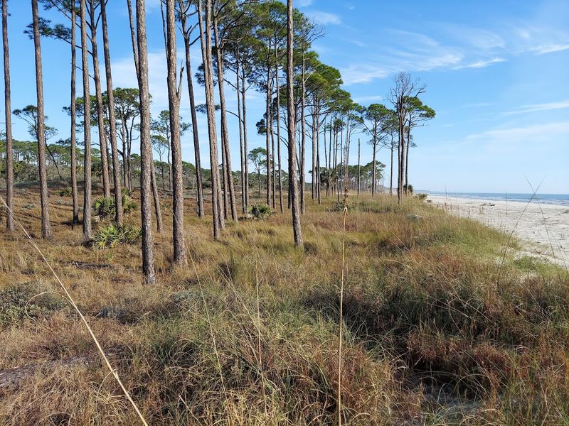 St. Vincent Island