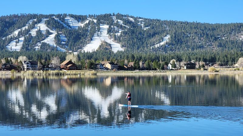Bald Eagles And Birdwatching Along The Shore