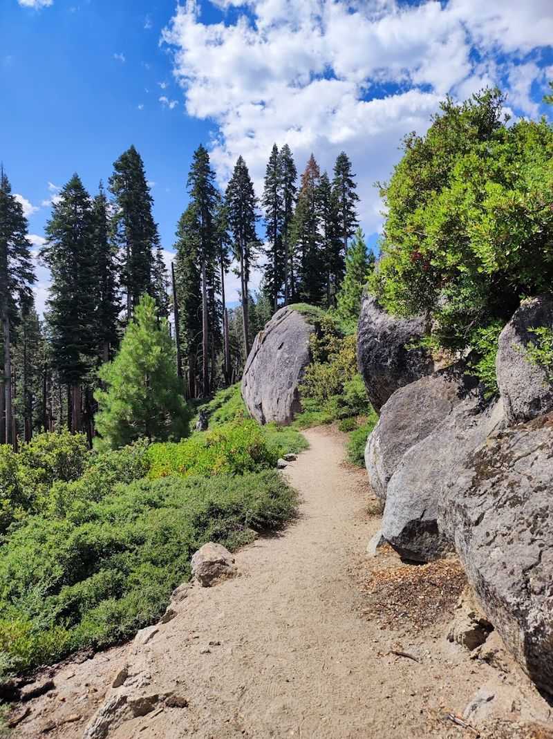 One-Way Logic Means Transportation Planning Cannot Be an Afterthought