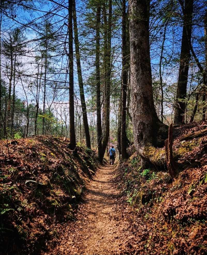 This Cozy Georgia Town Is Where Apple Pie And Calm Days Go Hand In Hand - Decor Hint Mountain Trails For People Who Like Views More Than Suffering