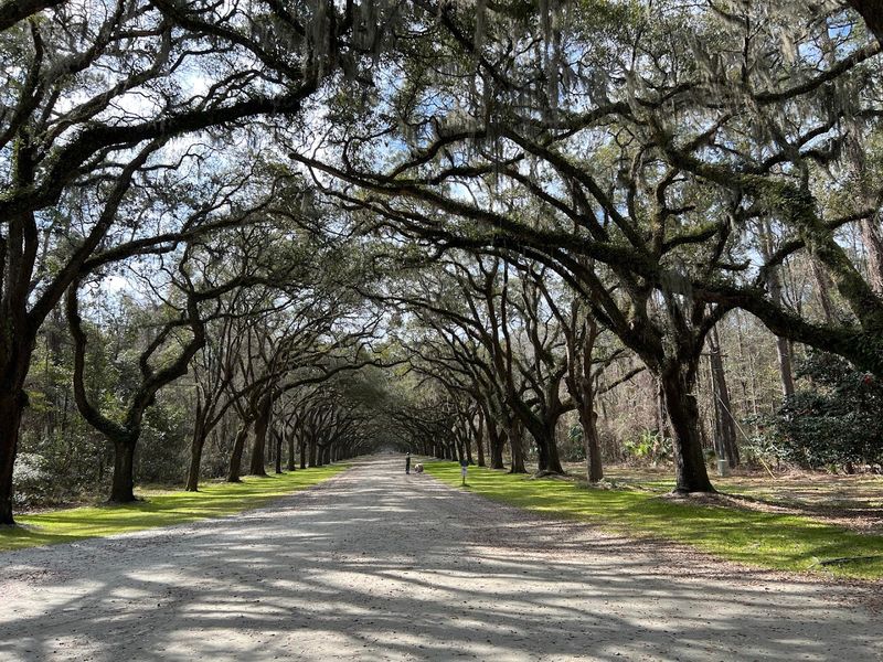 Wormsloe State Historic Site