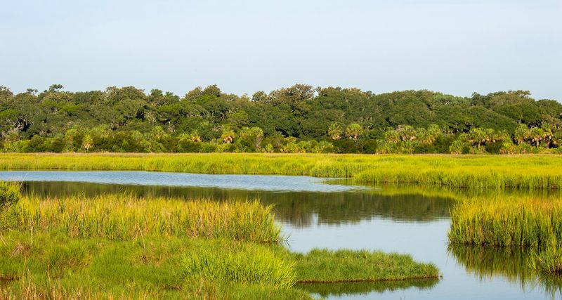 Little St. Simons Island