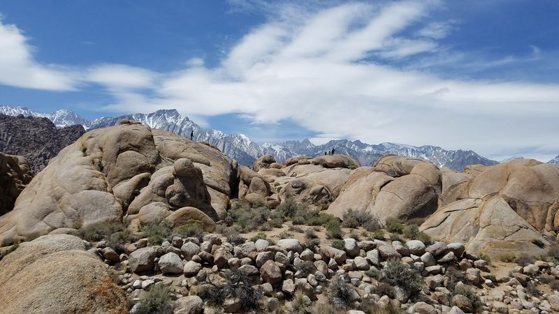 Lone Pine
