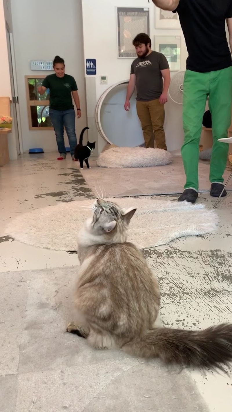 The Lounge Holds A Maximum Of 14 Guests At One Time