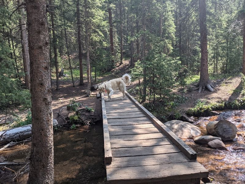 Crags Trail to Castle Dome, Castle Crags State Park, Castella