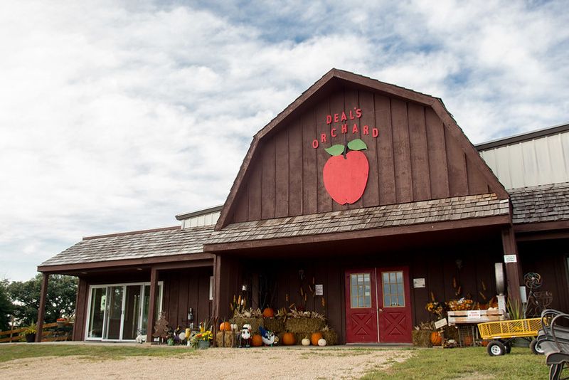 Deal's Orchard & Hard Cider
