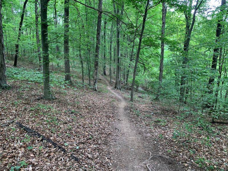 A Relaxed Camping Experience