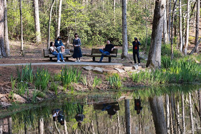 Outstanding Photography Opportunities Year-Round