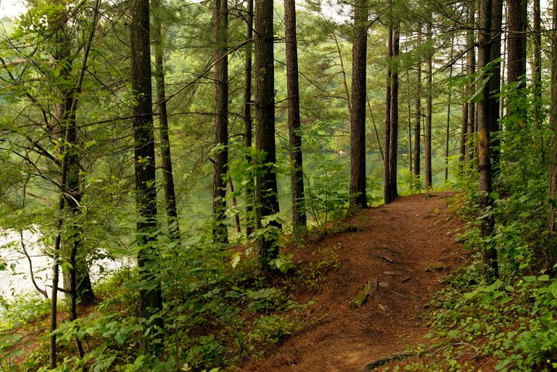 Wildlife Watching Without Overcomplicating The Day