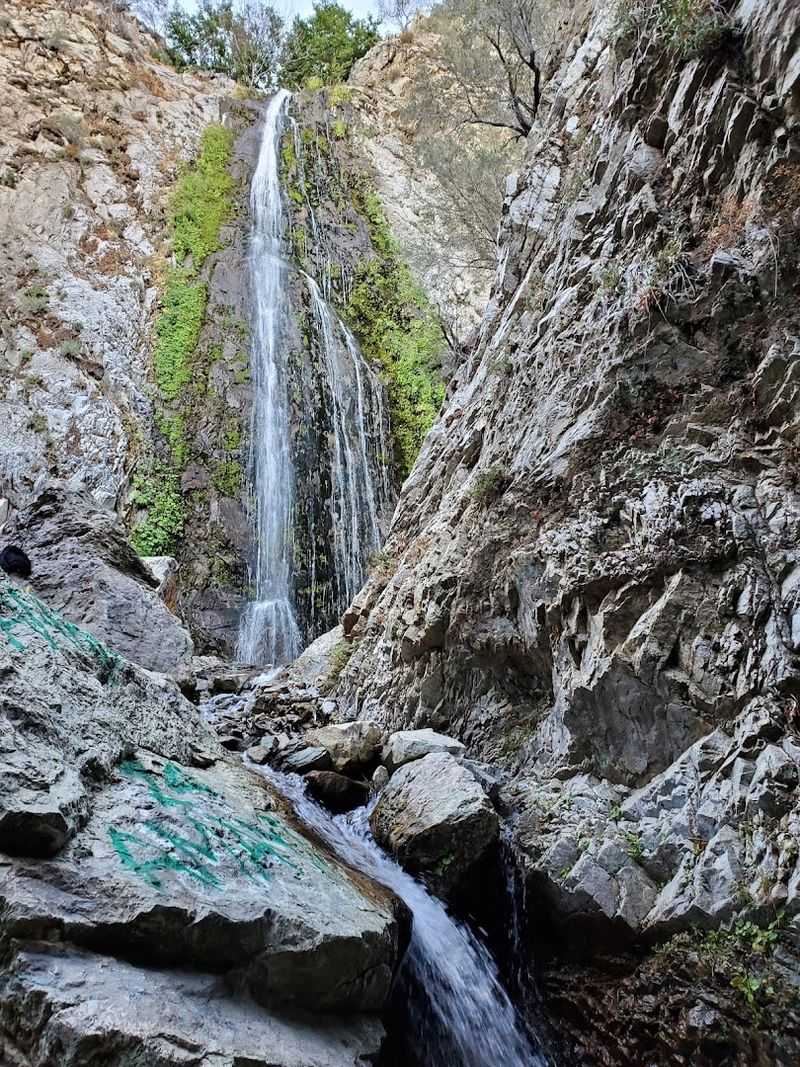 14 Breathtaking Waterfalls In California That Will Leave You Speechless This Spring - Decor Hint Bonita Falls, Lytle Creek