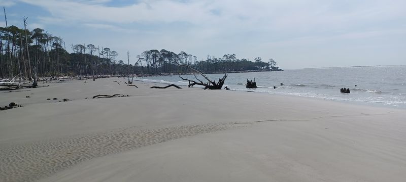 St. Phillips Island, Wild Barrier Island