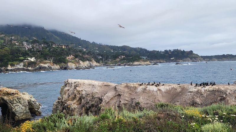 Practical Visitor Amenities That Make A Full Day Comfortable