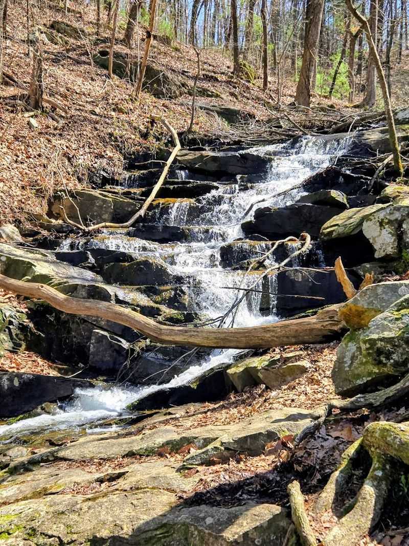Fishing Opportunities on a Stocked Mountain Lake