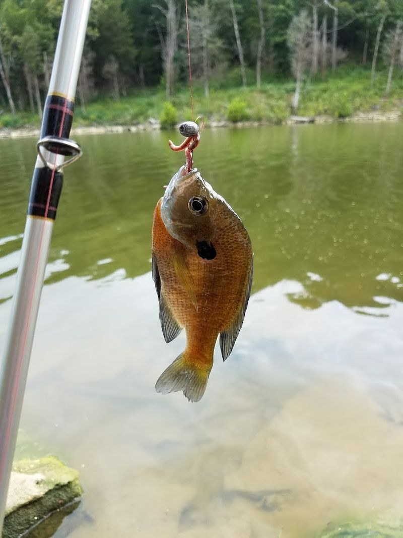 Kayaking