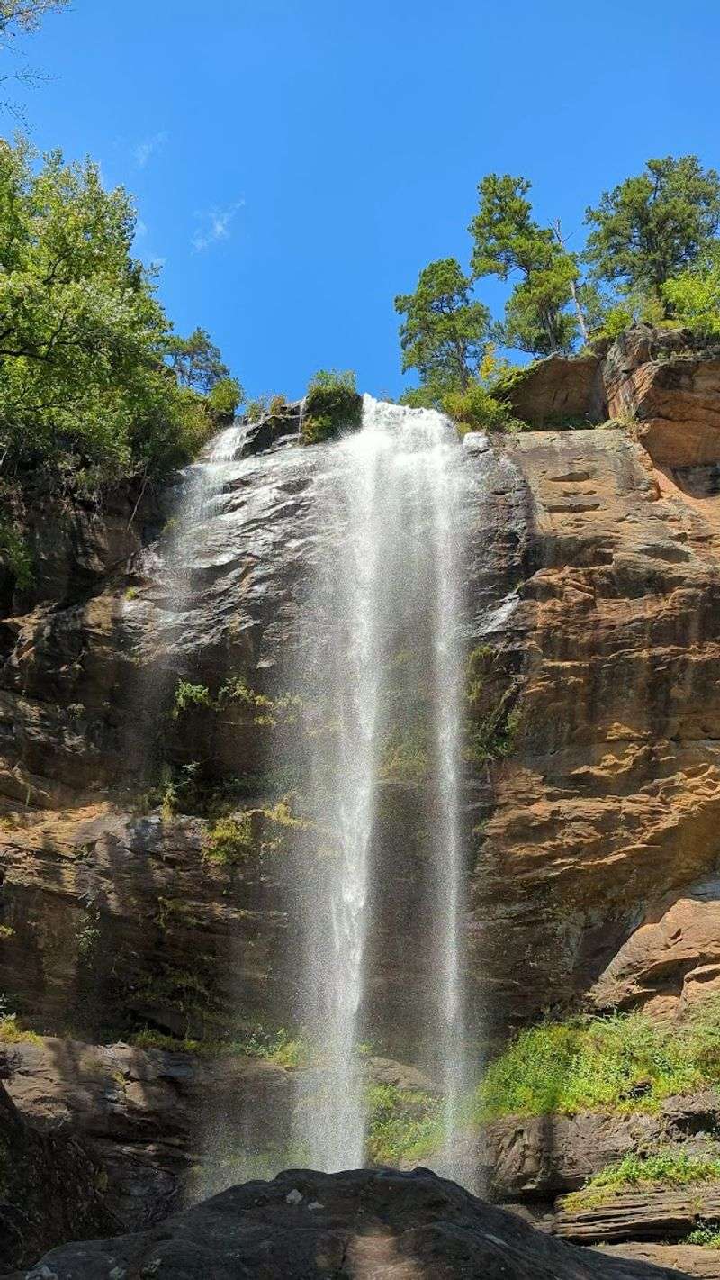 Picnic Spots Worth Claiming Early