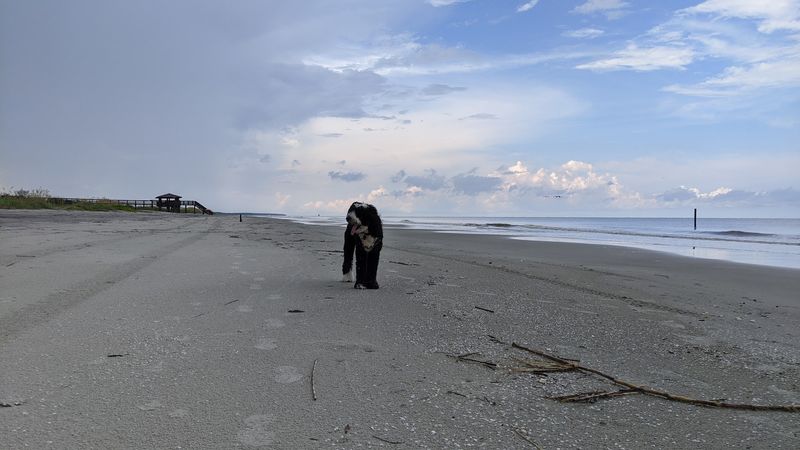 Beachcombing With No Rush and No Crowds