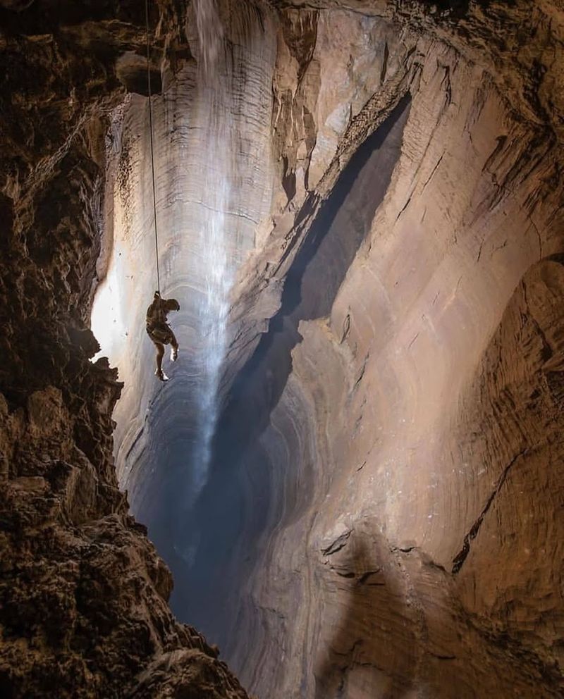 Underground Ecosystem Full of Unique Species