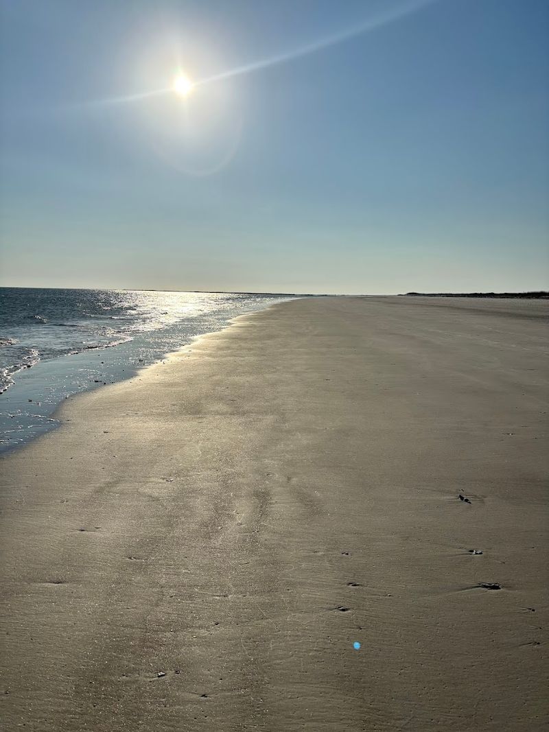 12 Florida Beaches Where You Can Escape The Crowds - Decor Hint Little Talbot Island State Park