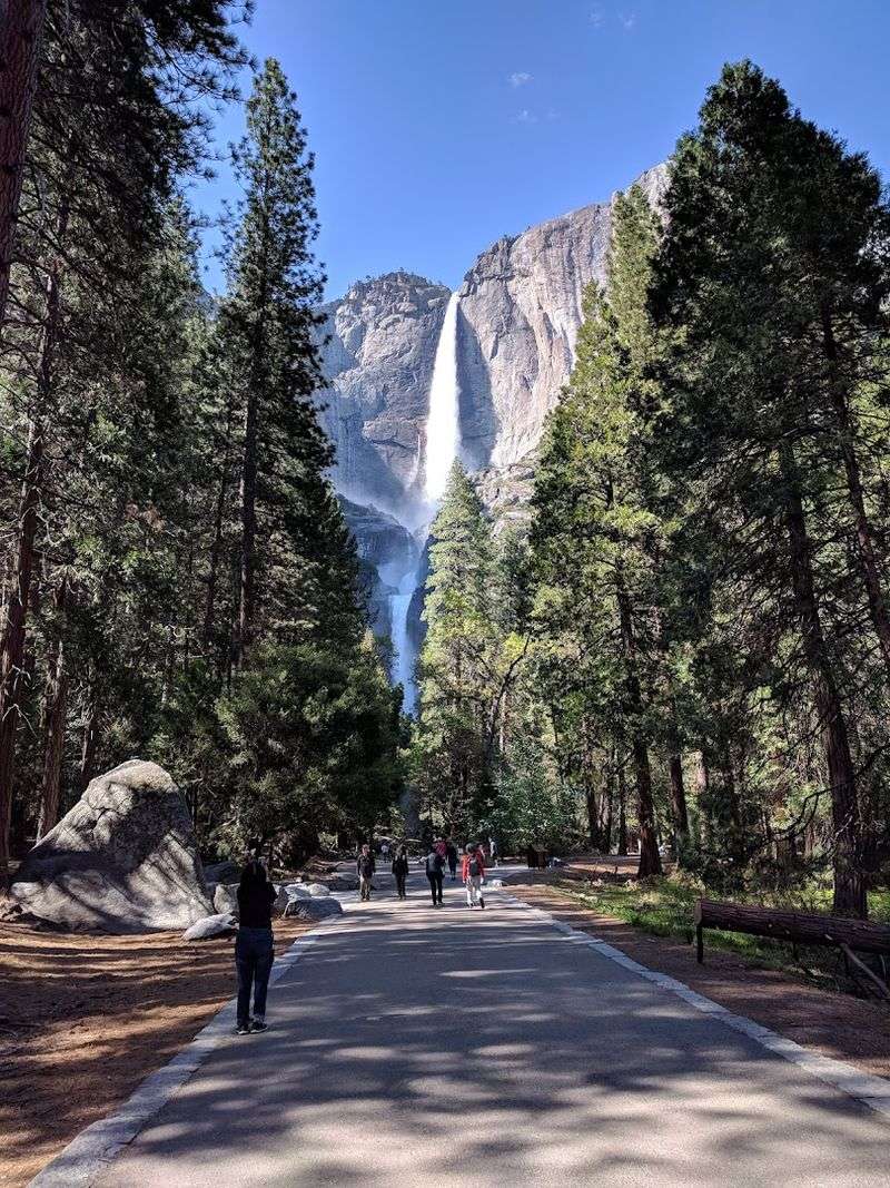 Lower Yosemite Fall Picnic Area, Yosemite National Park
